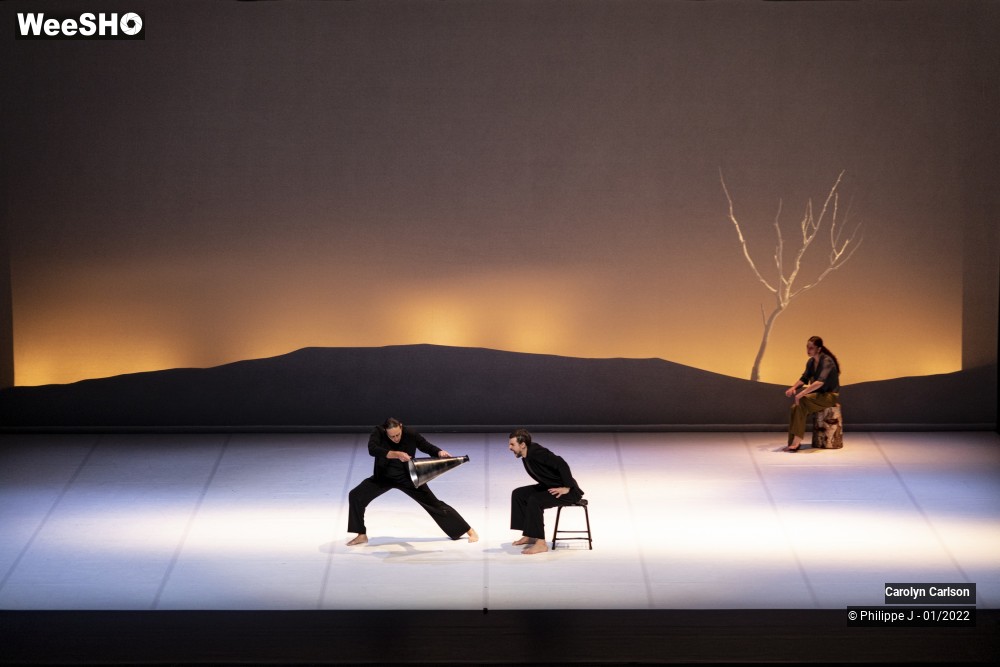 18/53 photos du spectacle The Tree