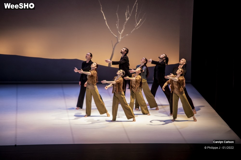 19/53 photos du spectacle The Tree