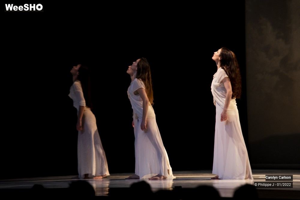 20/53 photos du spectacle The Tree