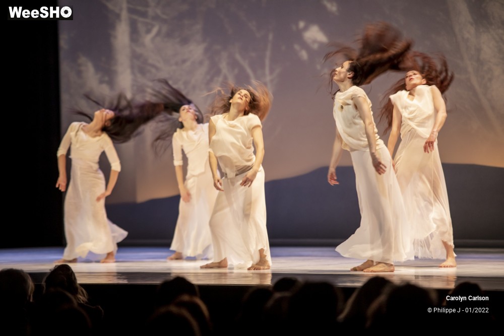 22/53 photos du spectacle The Tree