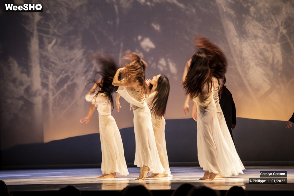 23/53 photos du spectacle The Tree