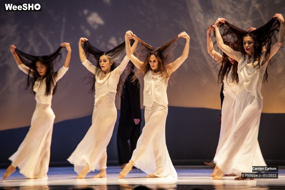 24/53 photos du spectacle The Tree