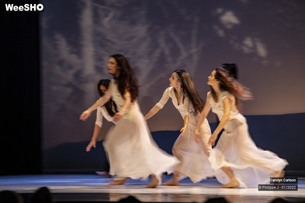 26/53 photos du spectacle The Tree