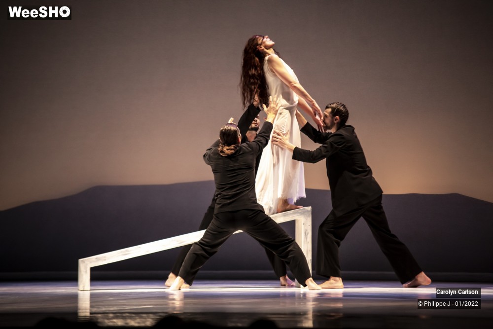 27/53 photos du spectacle The Tree