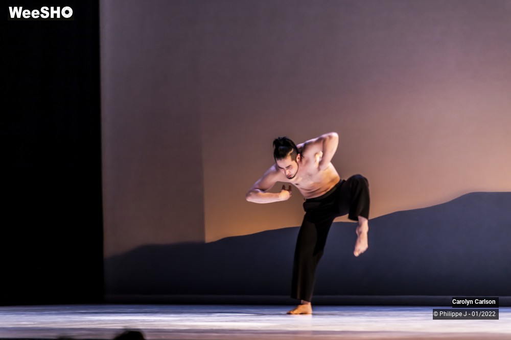 28/53 photos du spectacle The Tree