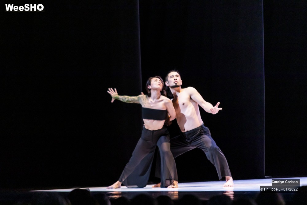 29/53 photos du spectacle The Tree