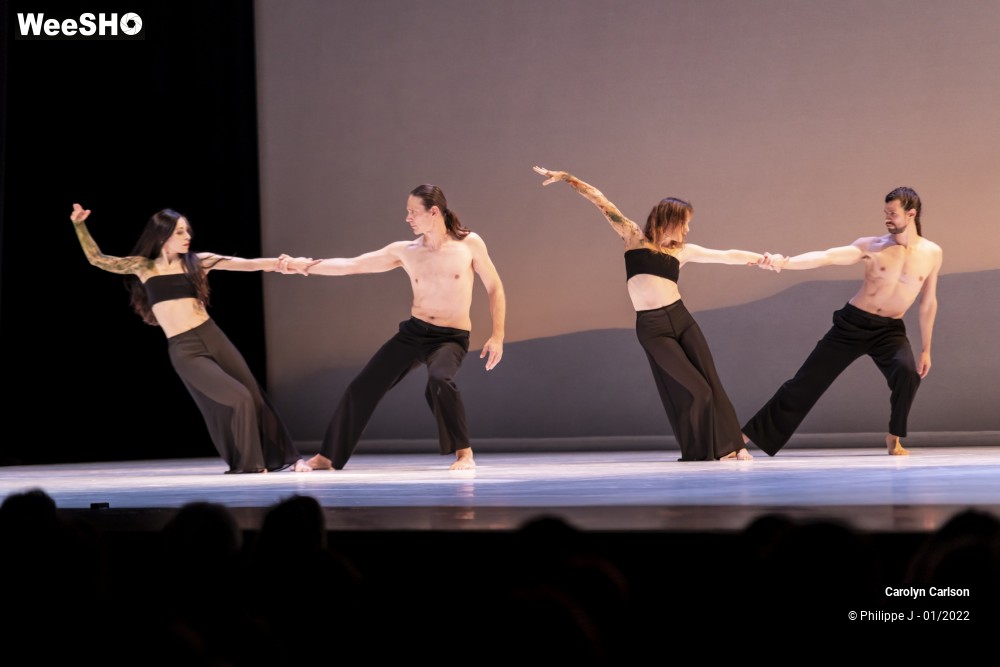 30/53 photos du spectacle The Tree