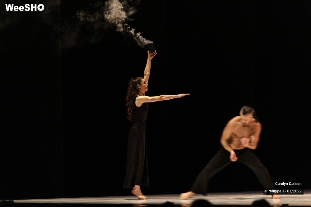 31/53 photos du spectacle The Tree