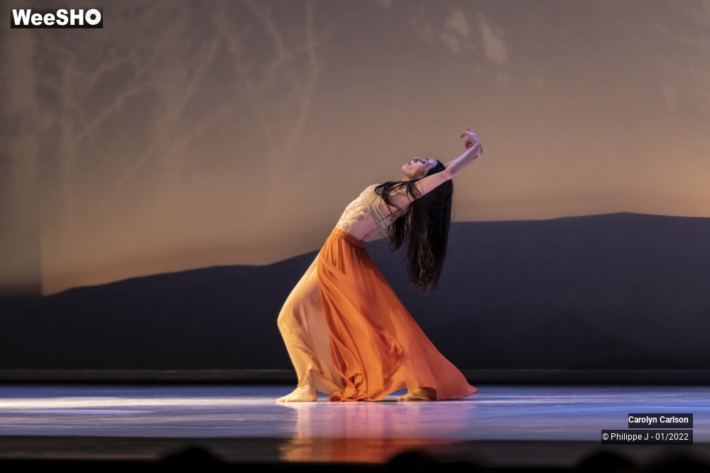 32/53 photos du spectacle The Tree