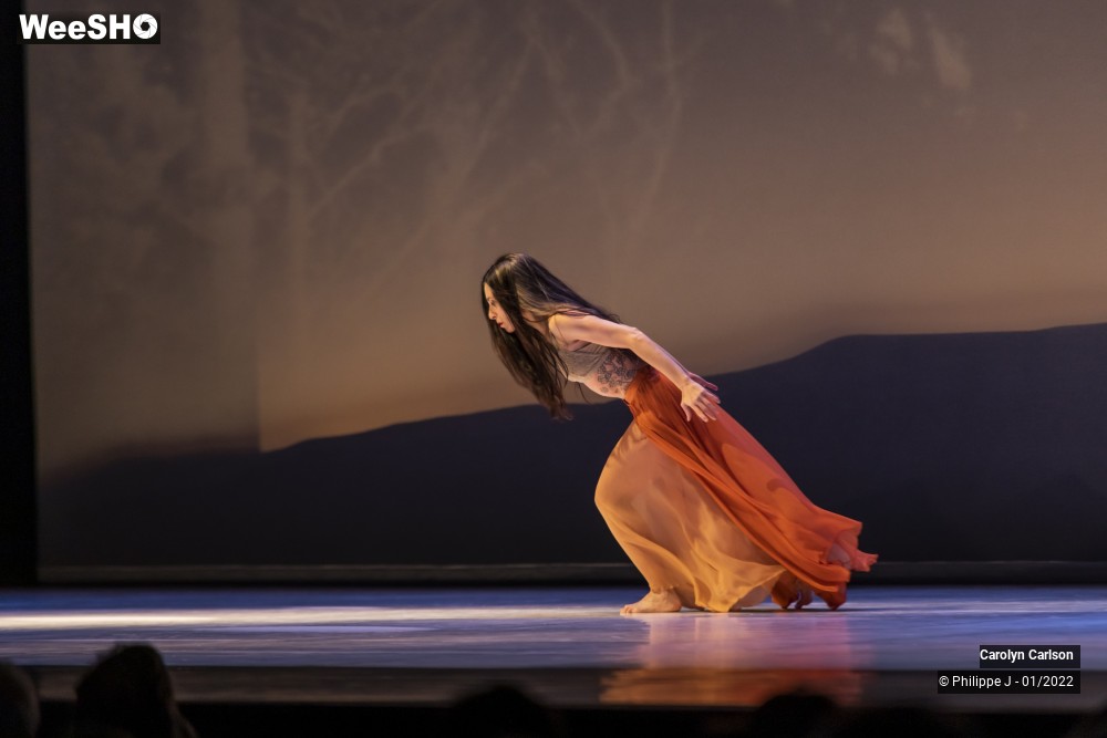 33/53 photos du spectacle The Tree