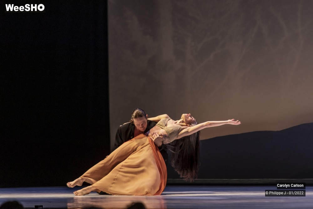 34/53 photos du spectacle The Tree