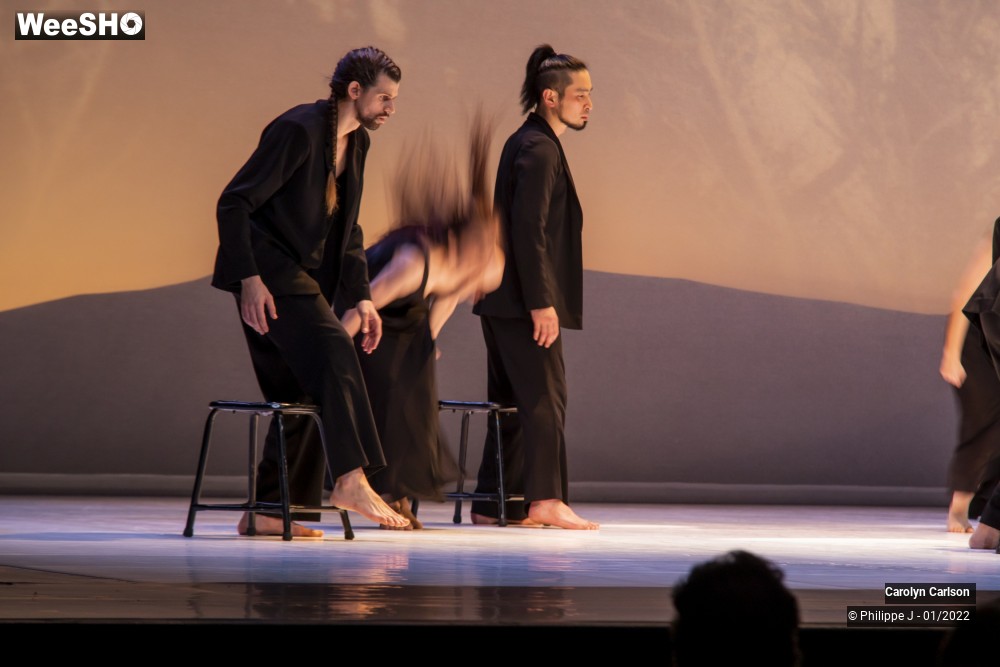 36/53 photos du spectacle The Tree