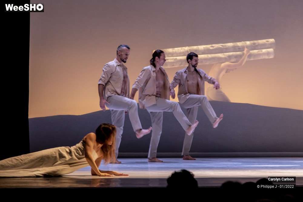 37/53 photos du spectacle The Tree