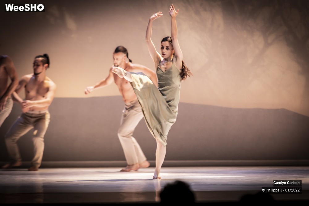 38/53 photos du spectacle The Tree