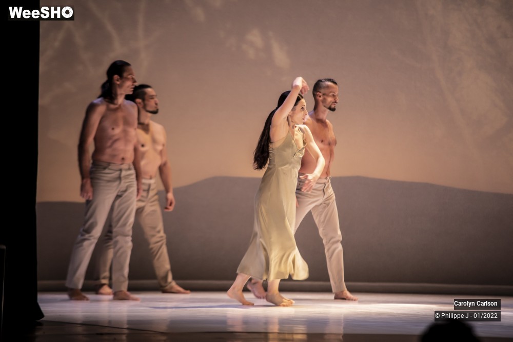 39/53 photos du spectacle The Tree