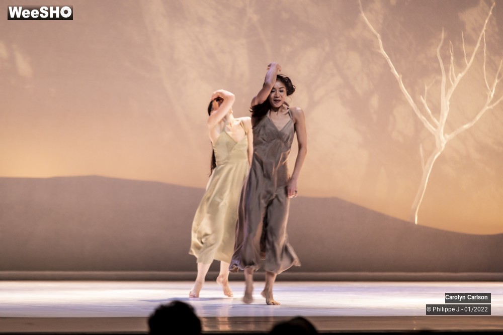 40/53 photos du spectacle The Tree