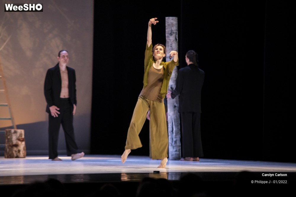 43/53 photos du spectacle The Tree