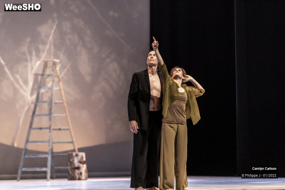 45/53 photos du spectacle The Tree