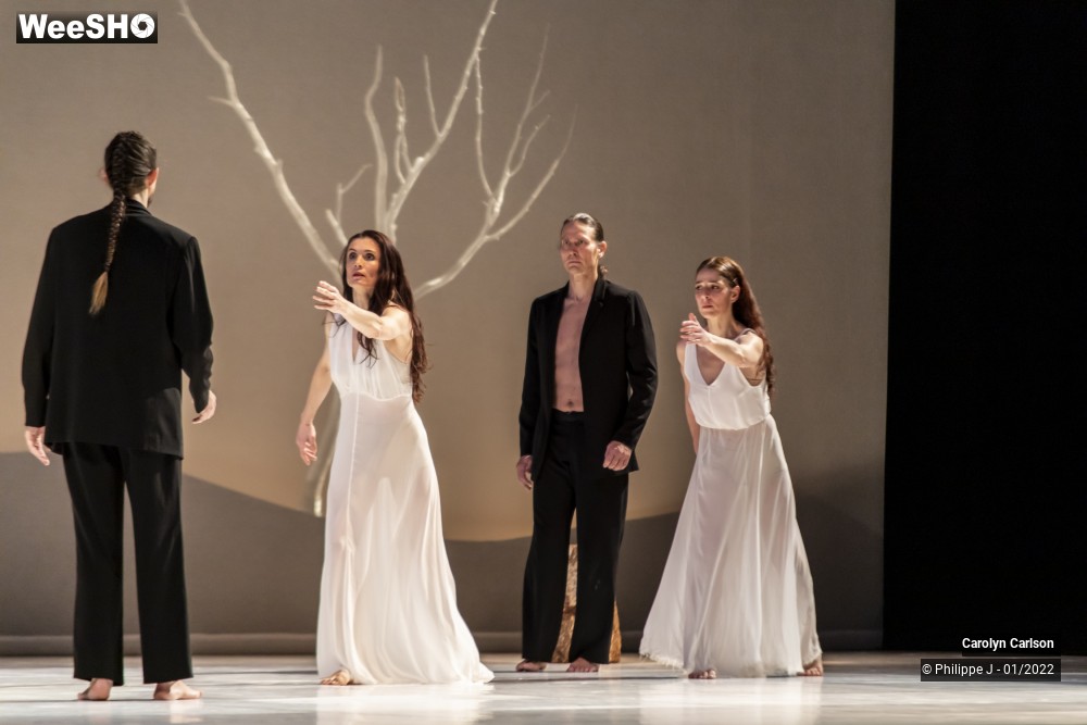 47/53 photos du spectacle The Tree