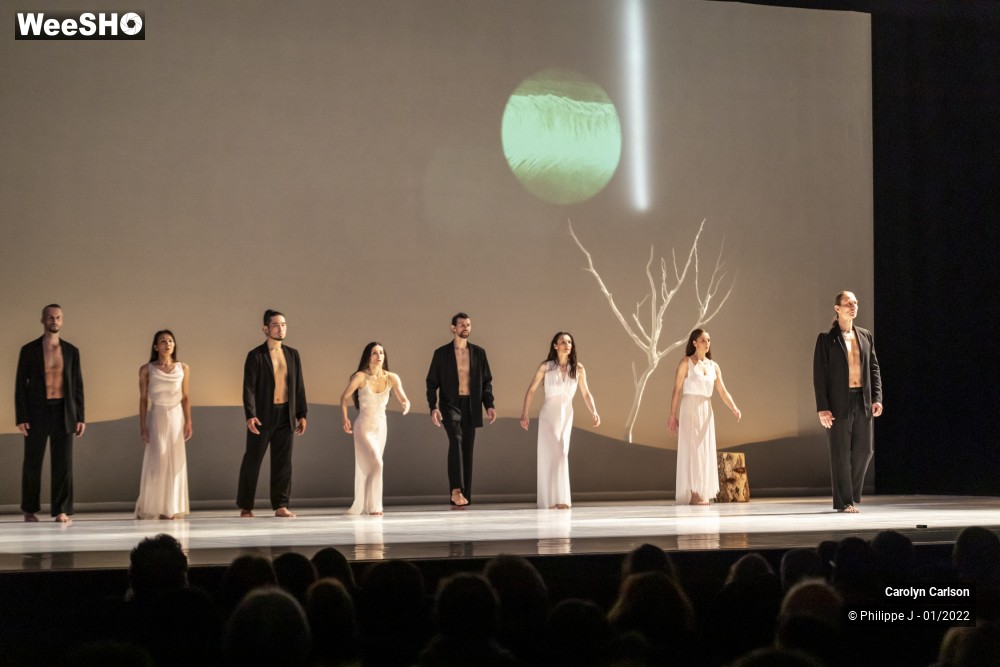 48/53 photos du spectacle The Tree