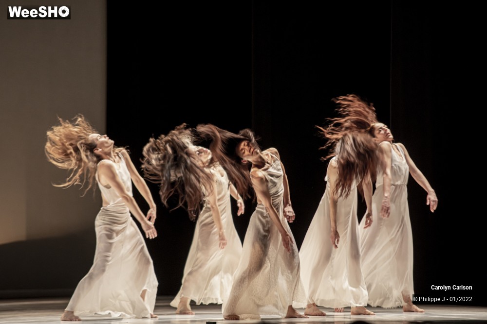 49/53 photos du spectacle The Tree