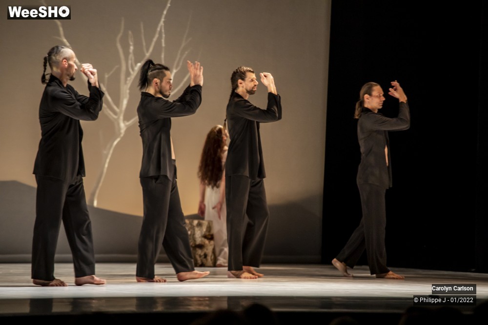 51/53 photos du spectacle The Tree