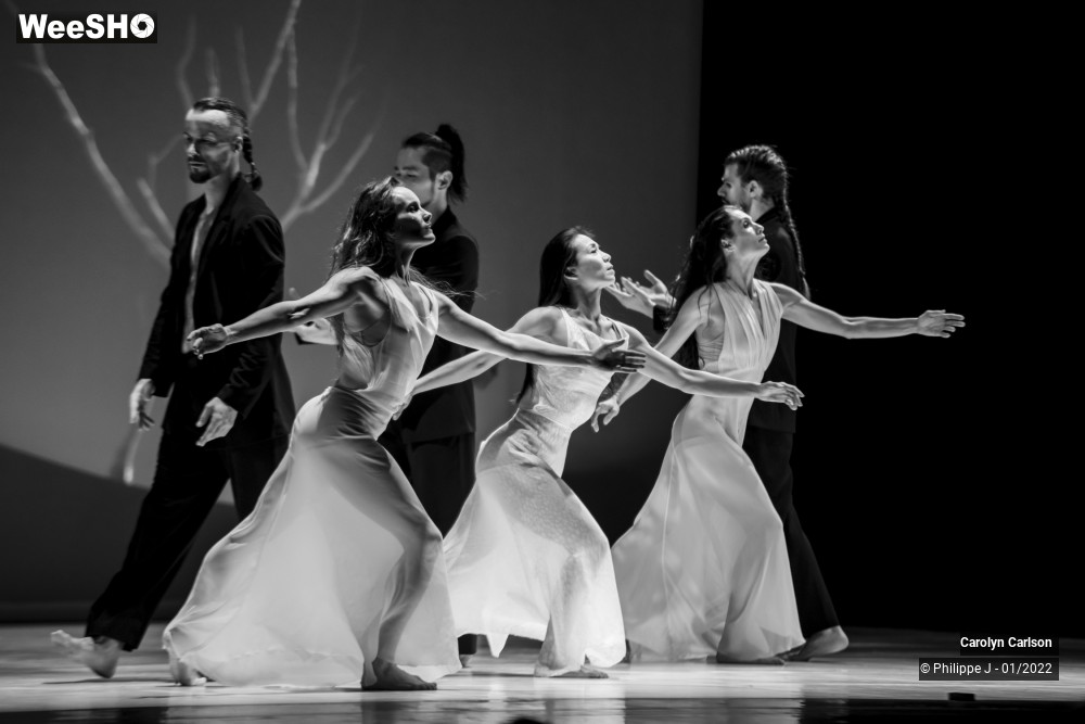 52/53 photos du spectacle The Tree