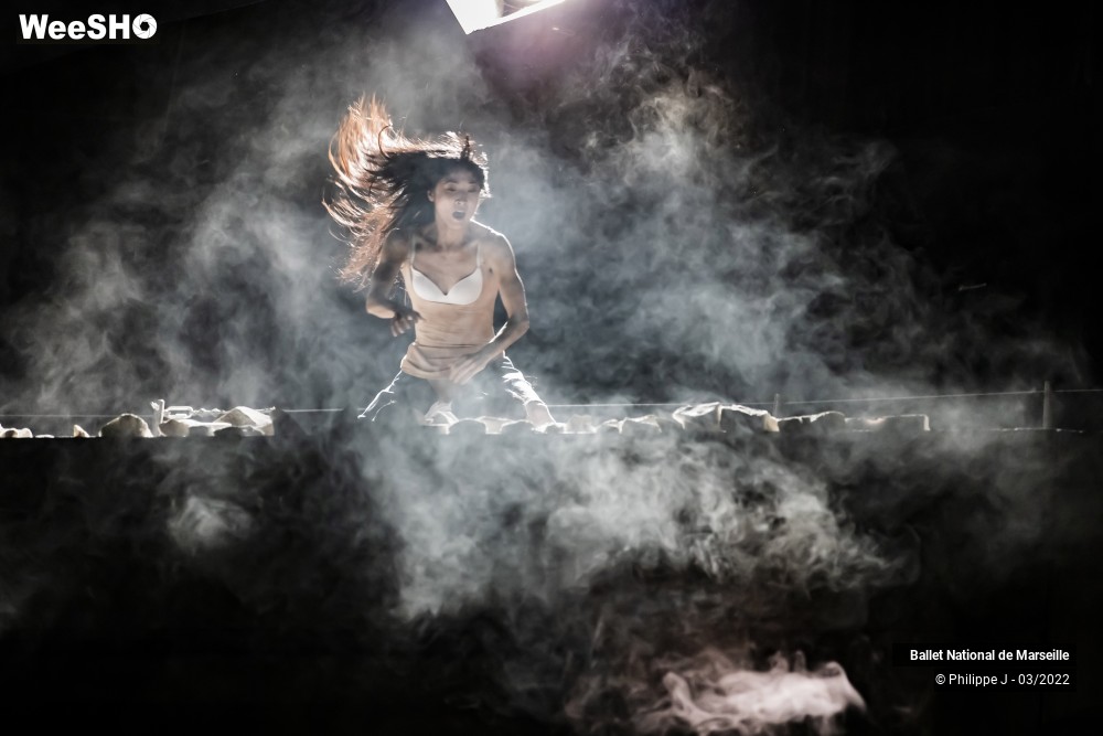 13/61 photos du spectacle A room with a view