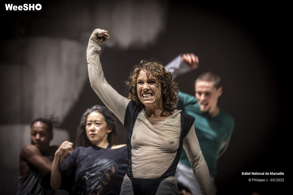 50/61 photos du spectacle A room with a view