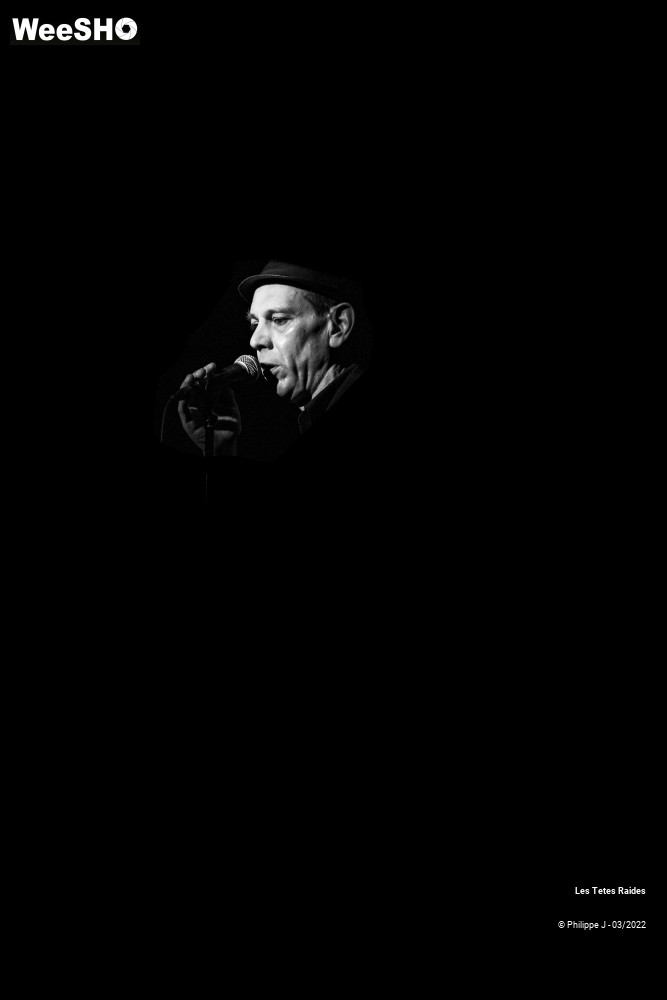27/30 photos du spectacle Les Têtes raides