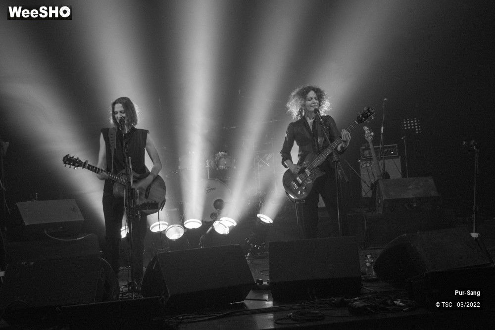 1/10 photos du spectacle Pur Sang
