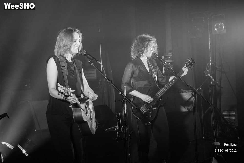 2/10 photos du spectacle Pur Sang
