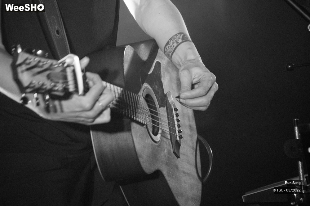3/10 photos du spectacle Pur Sang
