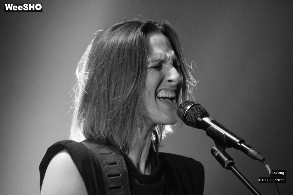 4/10 photos du spectacle Pur Sang