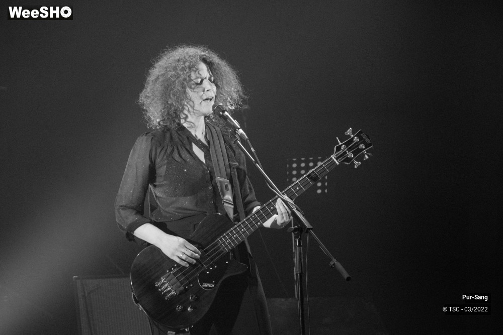 8/10 photos du spectacle Pur Sang