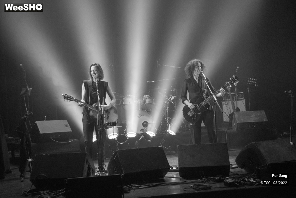 10/10 photos du spectacle Pur Sang