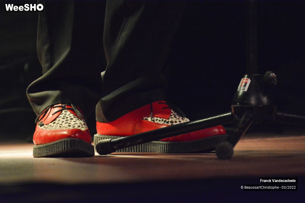 33/35 photos du spectacle Franck chante l'Amour