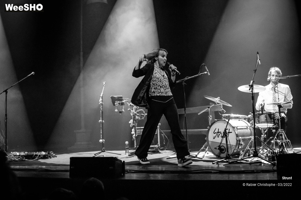 2/47 photos du spectacle Strunt