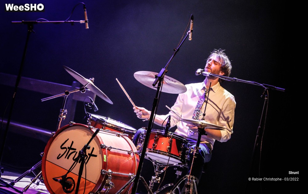 13/47 photos du spectacle Strunt