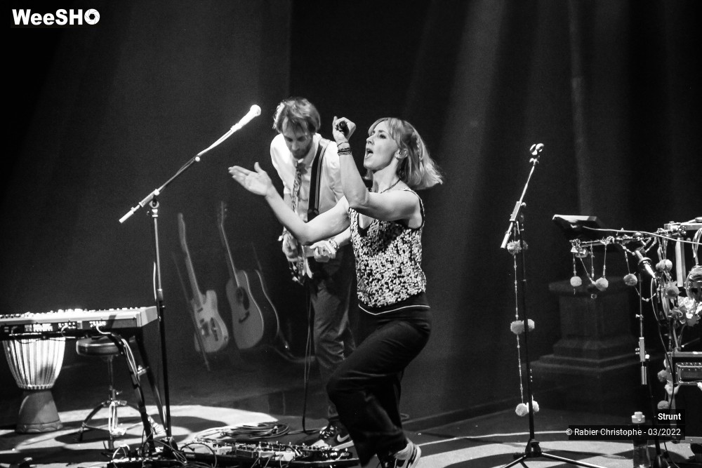 17/47 photos du spectacle Strunt