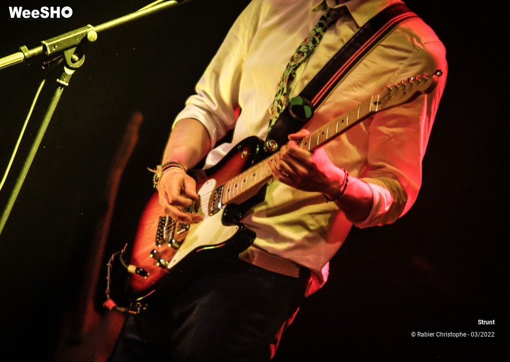 39/47 photos du spectacle Strunt