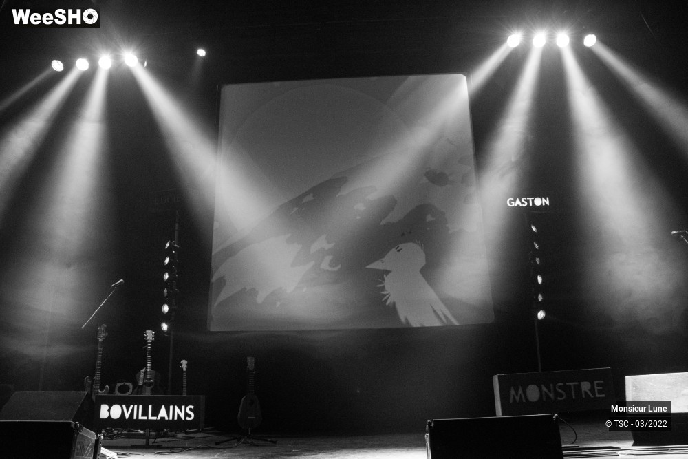 12/15 photos du spectacle L'incroyable Histoire de Gaston et Lucie