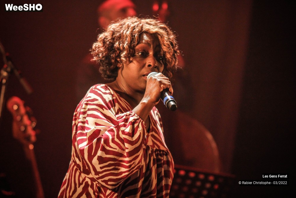 11/40 photos du spectacle Les gens Ferrat