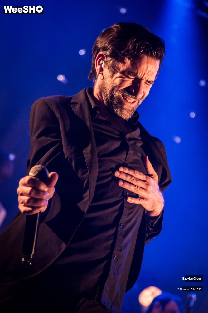 26/33 photos du spectacle Babylon Circus