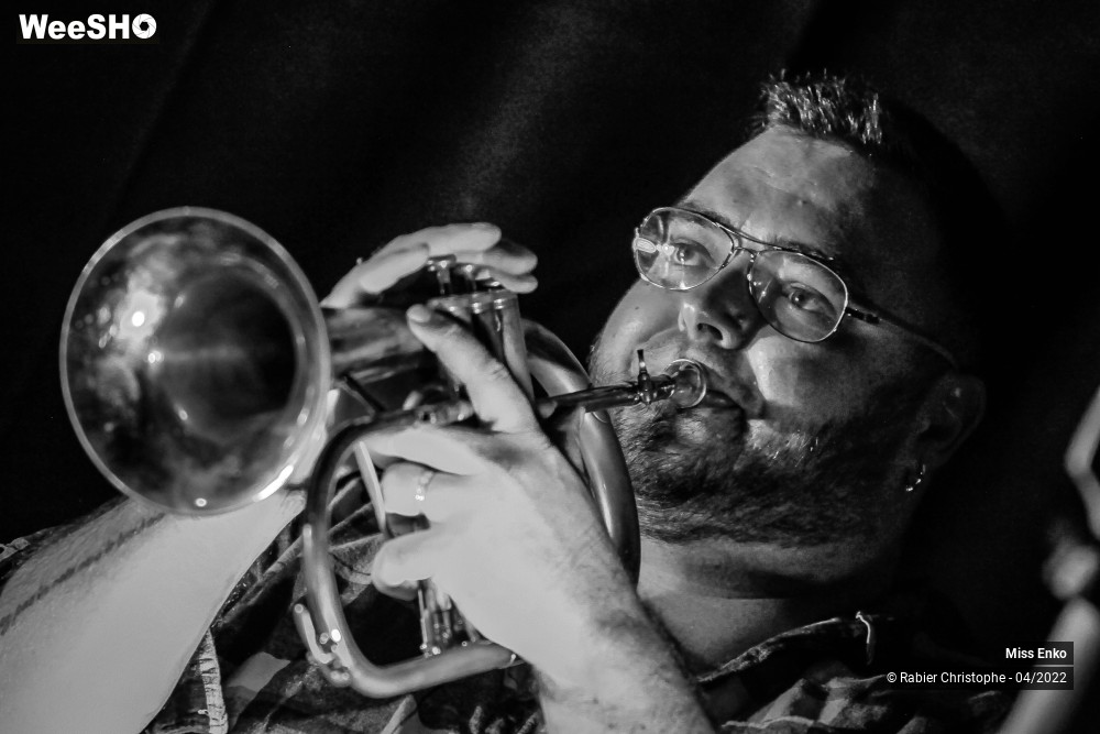 50/61 photos du spectacle Miss Enko