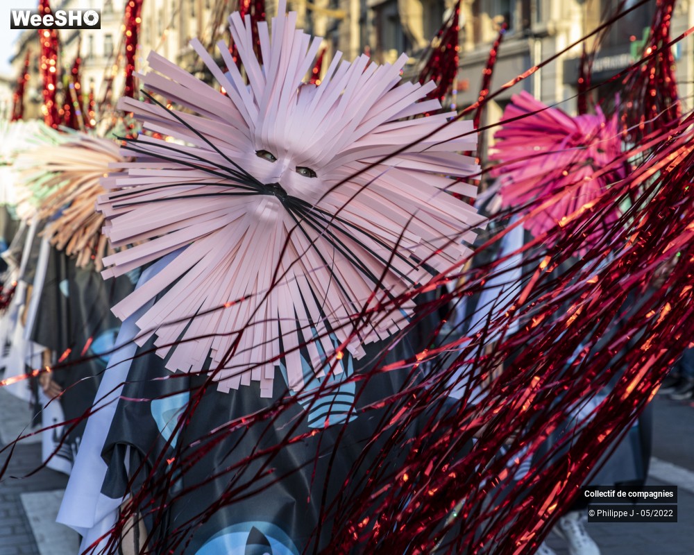 50/93 photos du spectacle Parade Utopia