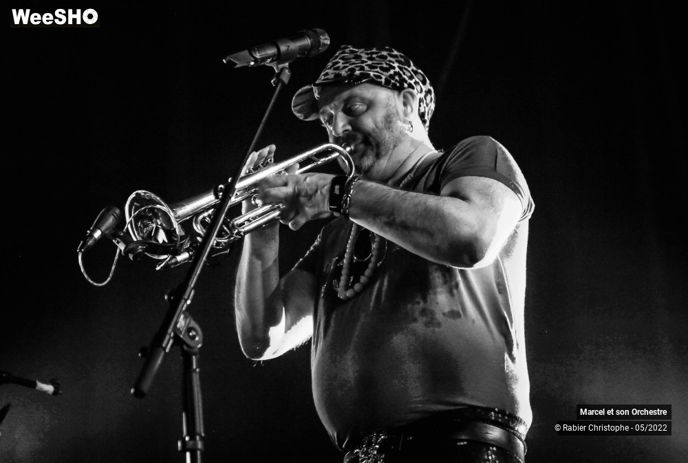 2/99 photos du spectacle Marcel et son orchestre + les fatals picards part 1