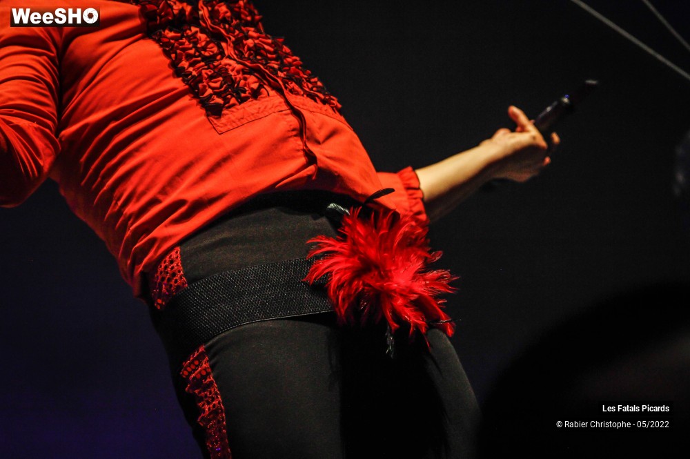 48/99 photos du spectacle Marcel et son orchestre + les fatals picards part 2