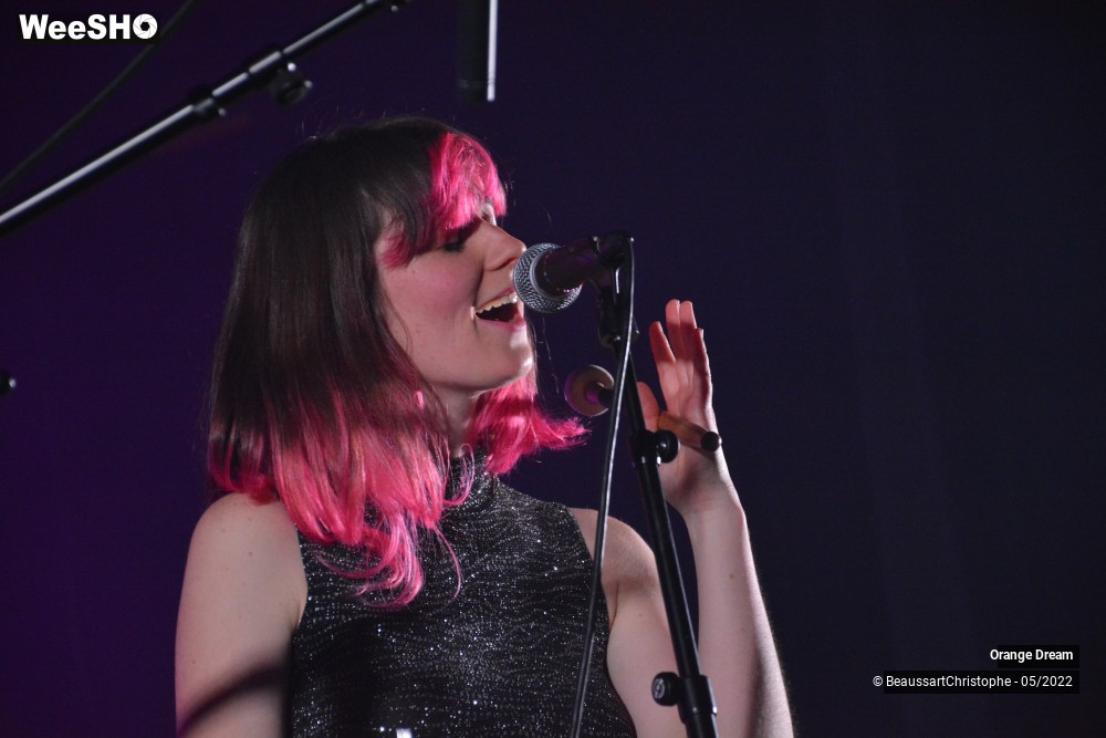 14/29 photos du spectacle Orange Dream
