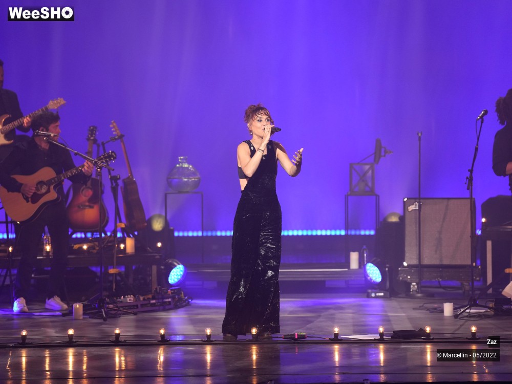 6/64 photos du spectacle ZAZ